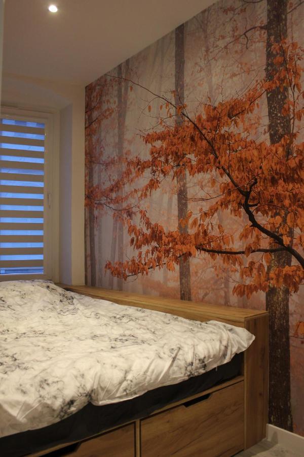 Rynek Nowa Ruda Apartment Екстериор снимка